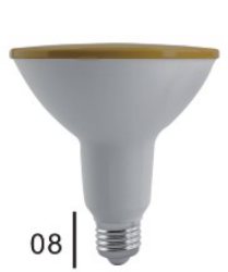 LED PAR Lamp