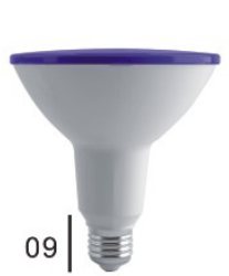 LED PAR Lamp