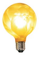 Decorative Filament Bulbs