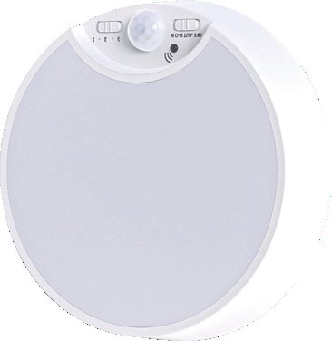 Sensor Ceiling Light